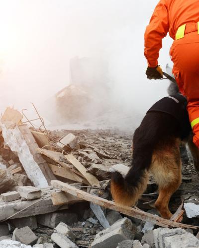 civil protection